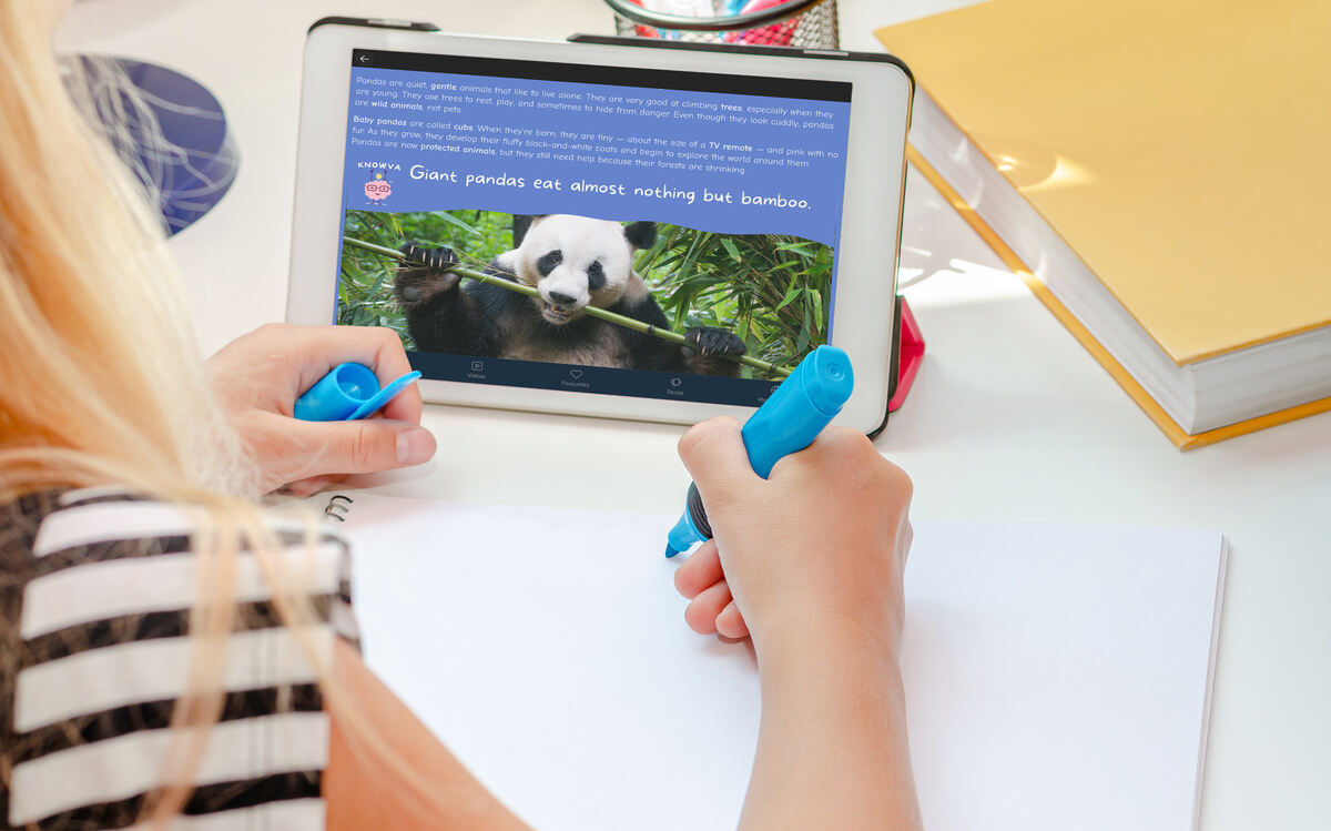 Decorative image of a child using Knowva independently to help with homework