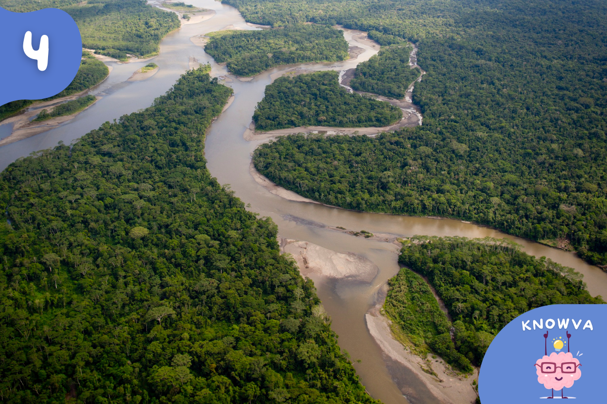 The winding Amazon river cutting through dense green rainforest seen from above.