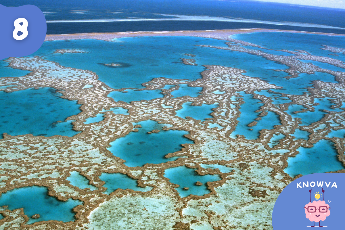 8 - Picture of the Great Barrier Reef from above