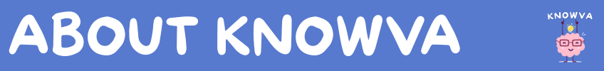 About Knowva Decorative Banner