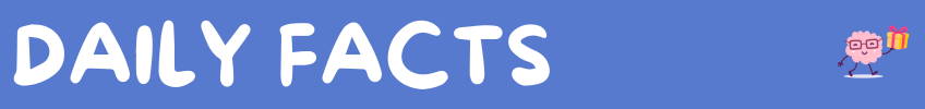 Knowva Banner - Daily Facts
