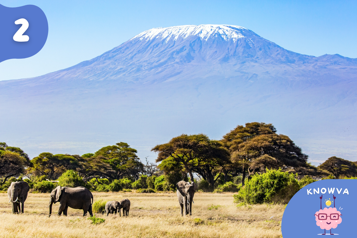 Mount Kilimanjaro with a snow covered peak rising above African plains with elephants below.