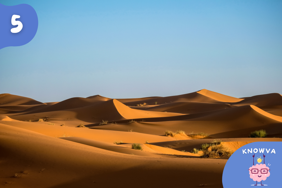Golden sand dunes stretching across the Sahara Desert under a clear blue sky.